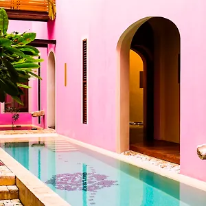 https://rosas-and-xocolate-boutique-hotel-spa.hotelsmerida.org